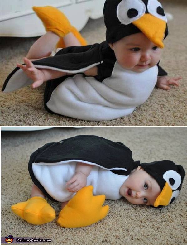 Fotos Tiernos Bebes Disfrazados Animales Fotos Tiernos Bebes Disfrazados Animales