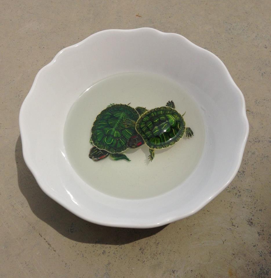 keng lye dos tortugas en un plato
