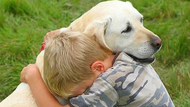niño abrazando a su perro labrador blanco