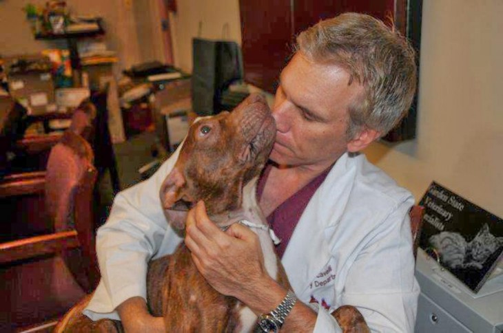 perro con veterinario