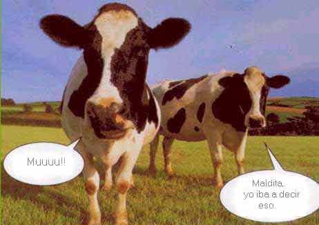 Vacas animadas graciosas - Imagui