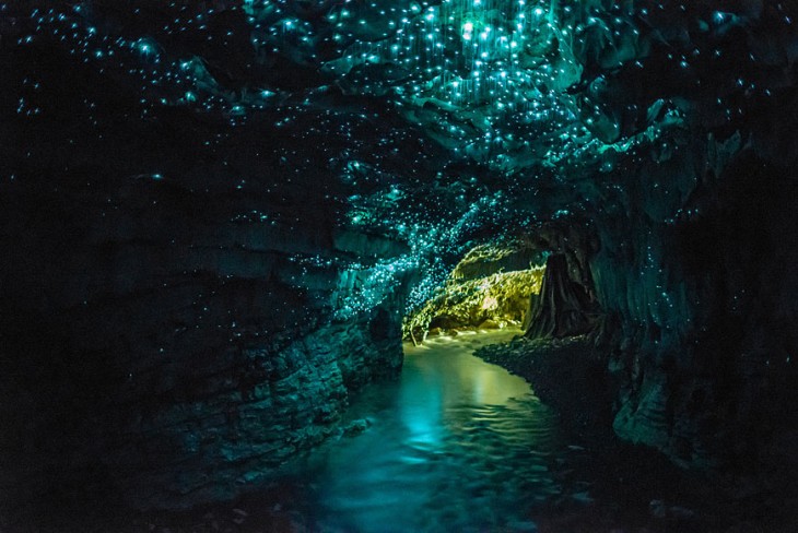 Cuevas de los gusanos luminosos ubicada en Nueva Zelanda 