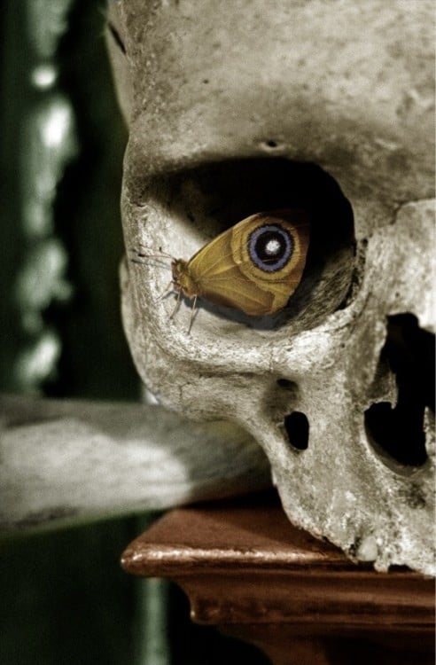 ilusiones-%C3%B3pticas-6-492x750.jpg