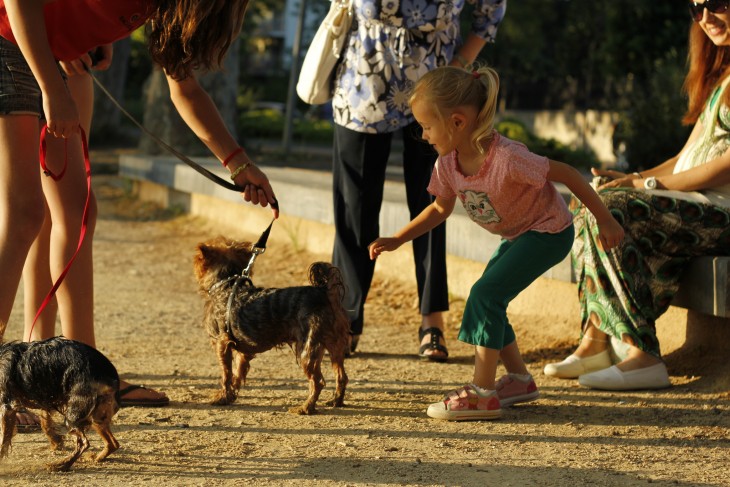 niña  jugando con un perrito mientraas la familia la observa