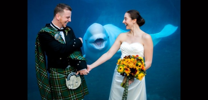 una beluga con  recien casados