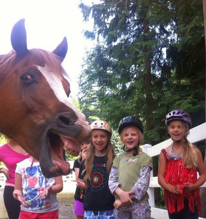caballo muestra los dientes a nenas