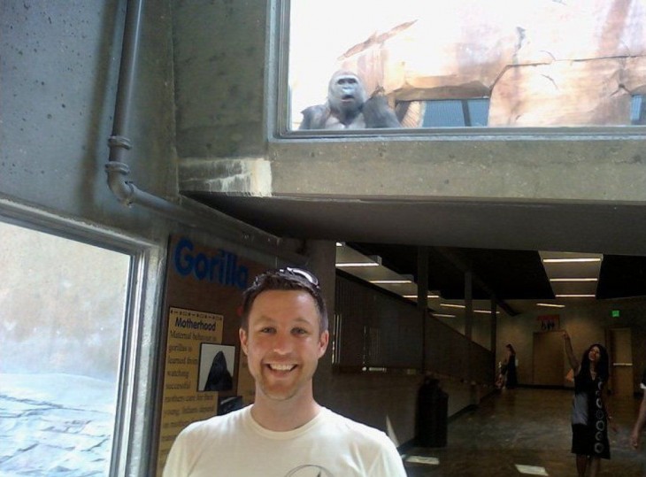 hombre y gorila en el zoologico