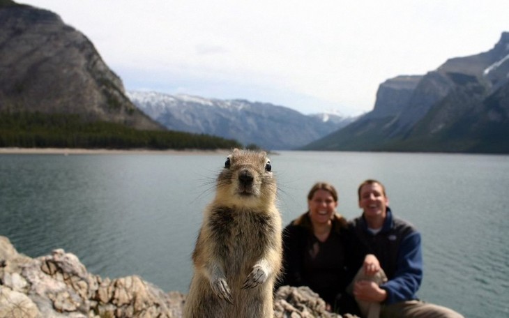 una marmota con dos personas atras