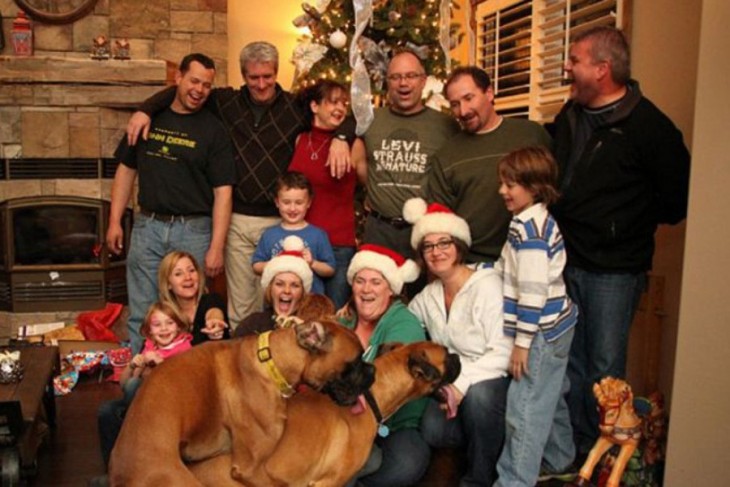 Perros apareándose en foto familiar