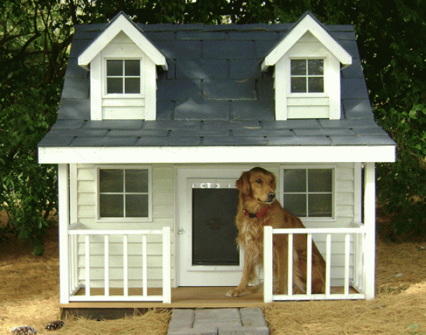 Las casas para perros mas originales y creativas Cerca creativo Casas De