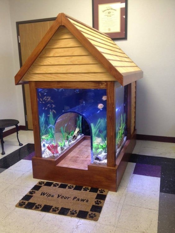 casa para perro en forma de un acuario
