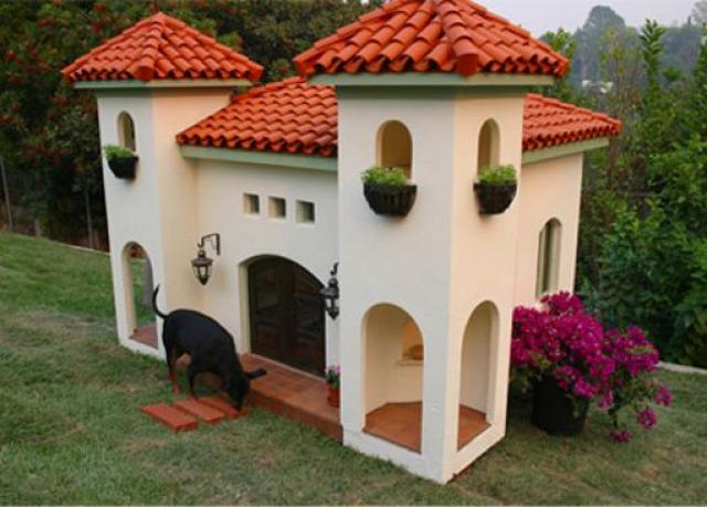 mansion con techos de teja para un perro