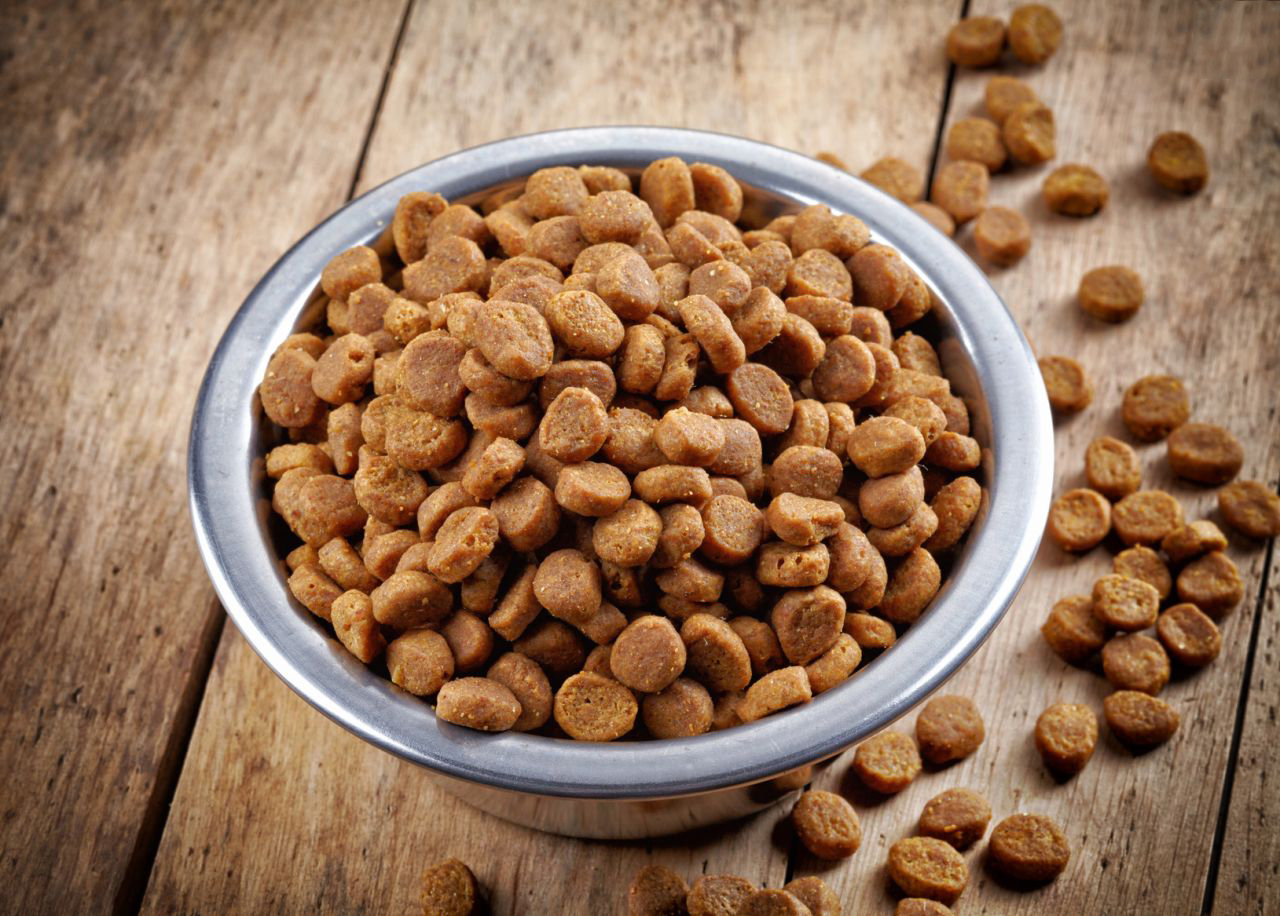 alimento para artritis canina