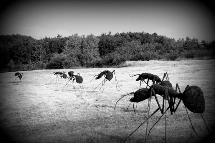 Escultura con formas de hormigas en un campo 