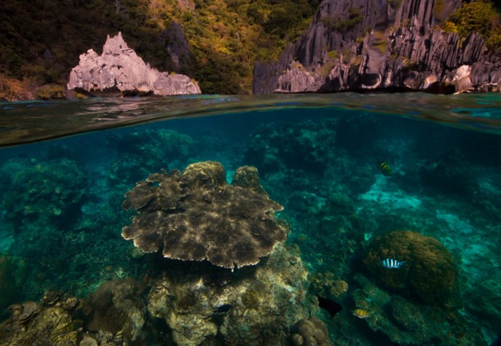 cueva con arrecifes y agua cristalina