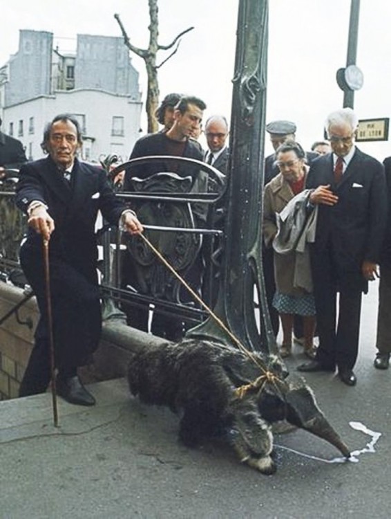 Salvador Dali con su mascota oso hormiguero, 1969