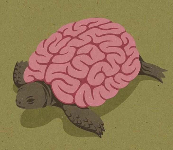 una tortuga con cuerpo de cerebro