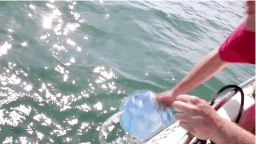 Gif de un chico consiguiendo agua del océano para hacer sal 