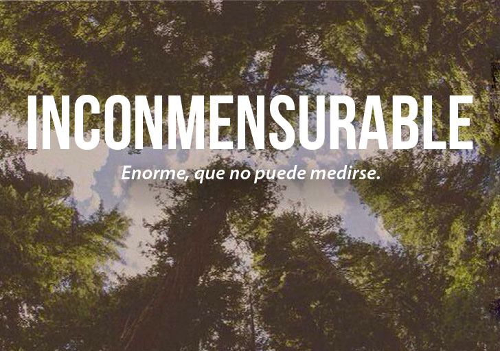 ilustración con la definición de la palabra inconmensurable