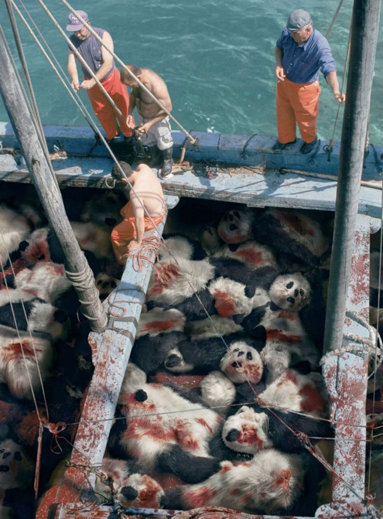 hombres en un barco con muchos pandas asesinados en el suelo