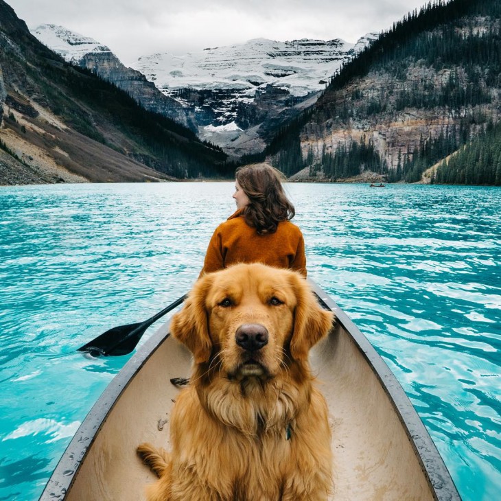 Él es Aspen, el perro viajero: Conoce sus increíbles aventuras alrededor del mundo