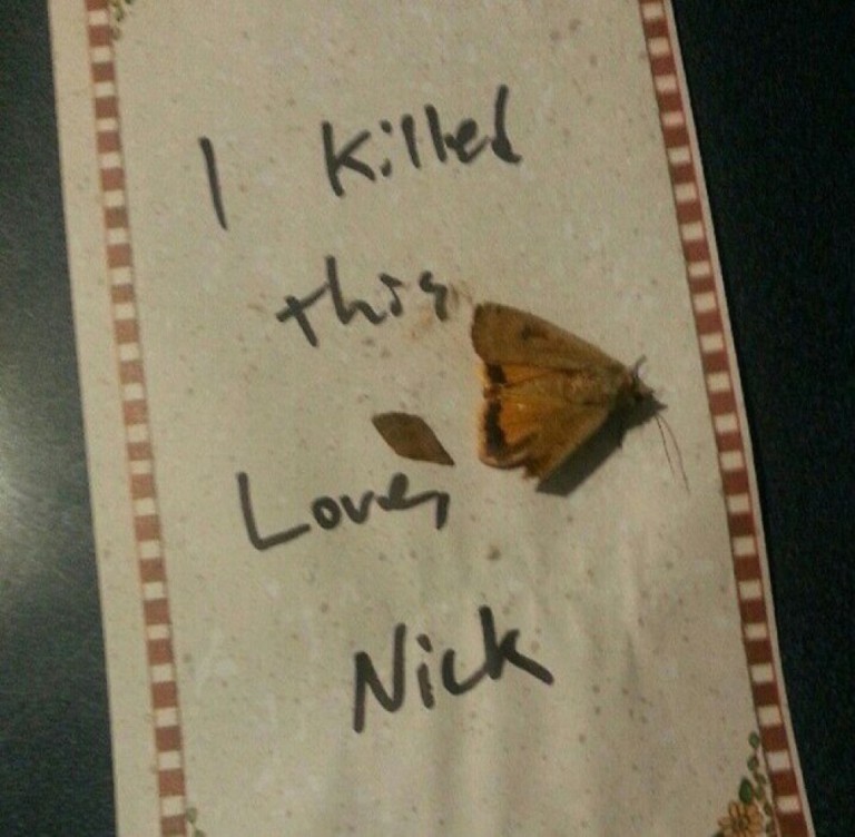 mariposa sobre una hoja de papel con una dedicatoria por parte de nick