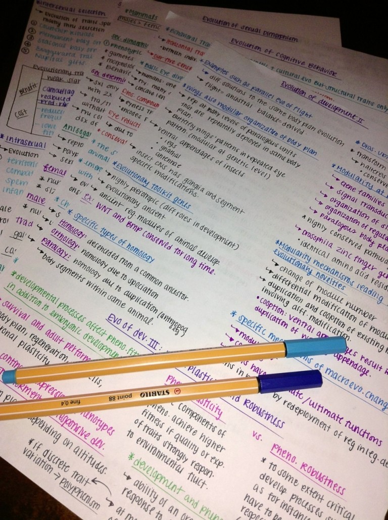 Apuntes perfectamente alineados con dos plumas sobre las hojas