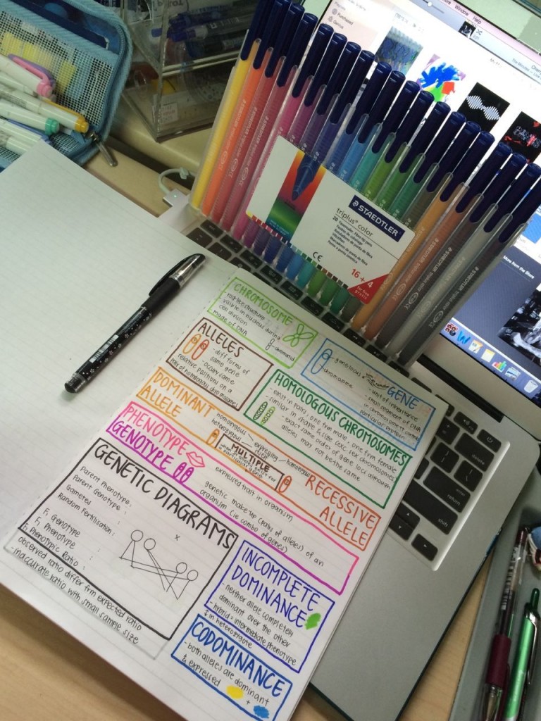 diagramas alineados sobre una laptop con muchos plumones de colores