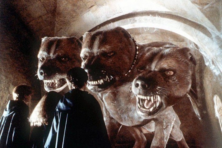 Perro De Tres Cabezas Harry Potter