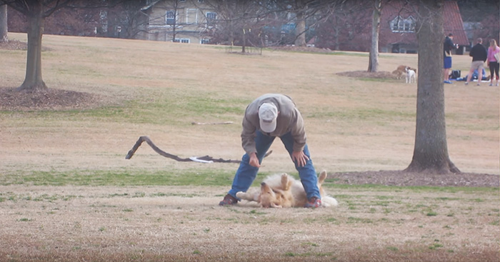 Este perro no quería irse del parque ¡así que se hizo el muertito!