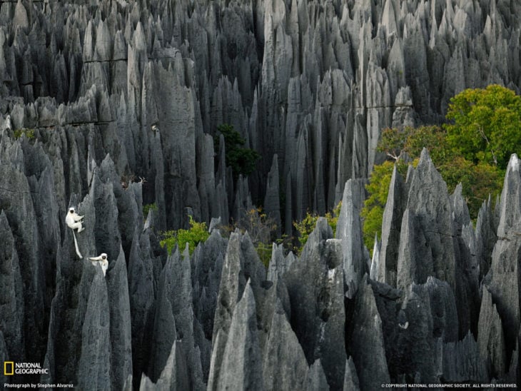 Parque Nacional Tsingy en África 