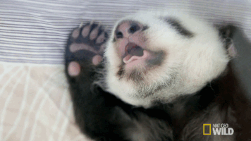 Fotografías y gifs de personas o animales que causan ternura