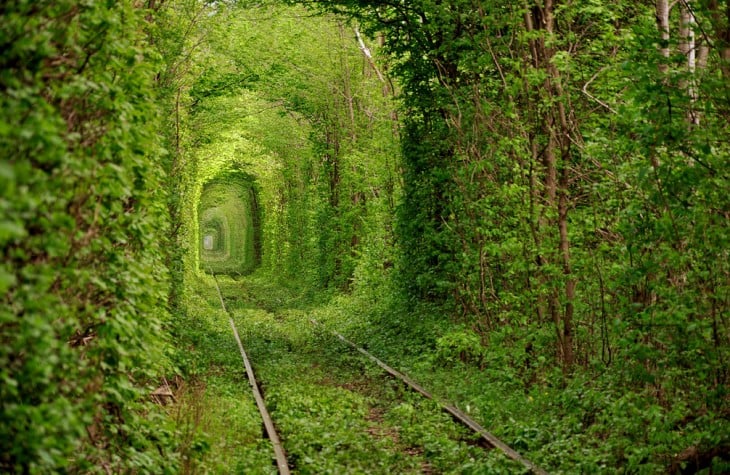 Túnel del amor en Klevan, Ucrania 