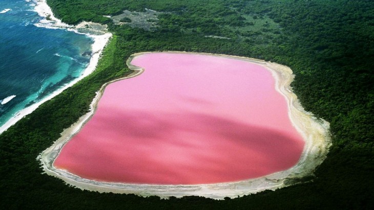 Lago de color rosa Hiller en Australia 