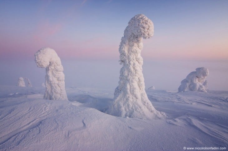 centinelas del artico foto premiada por la nasa