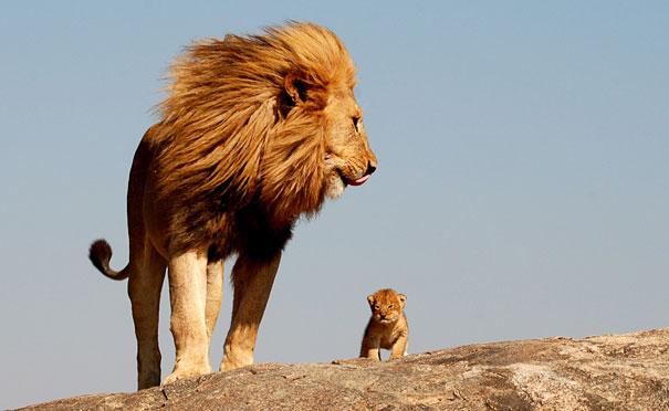 leon padre e hijo