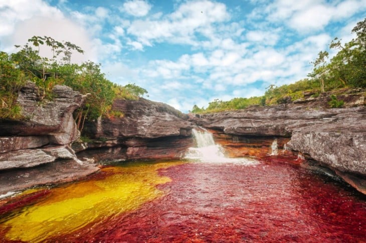 rio caño de cristales colombia