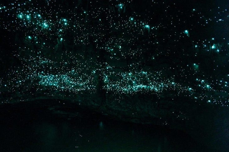 cuevas flourescentes Glowworms, Nueva Zelanda