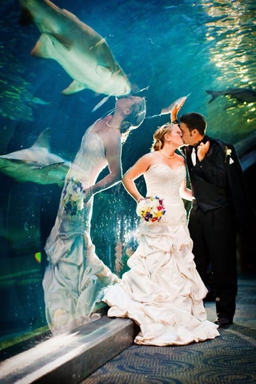 Una pareja besándose mientras que en el reflejo la novia parece besar a un tiburón 