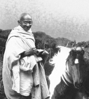 mahatma ghandi al lado de un caballo