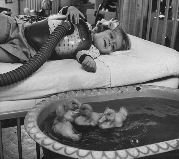 4. Animales utilizados como parte de una terapia medicinal, 1956