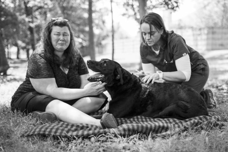 veterinaria inyectando a un perro junto a una mujer llorando en el suelo 