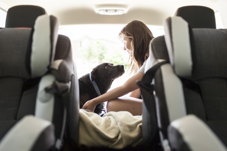 una chica y su mascota viéndose fijamente arriba de un auto 