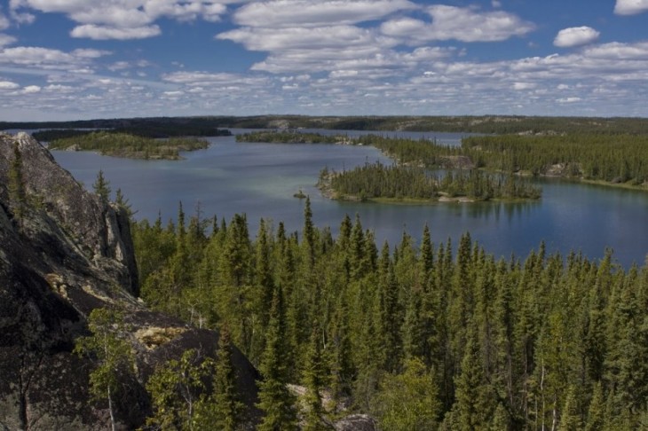 bosque canada de dia