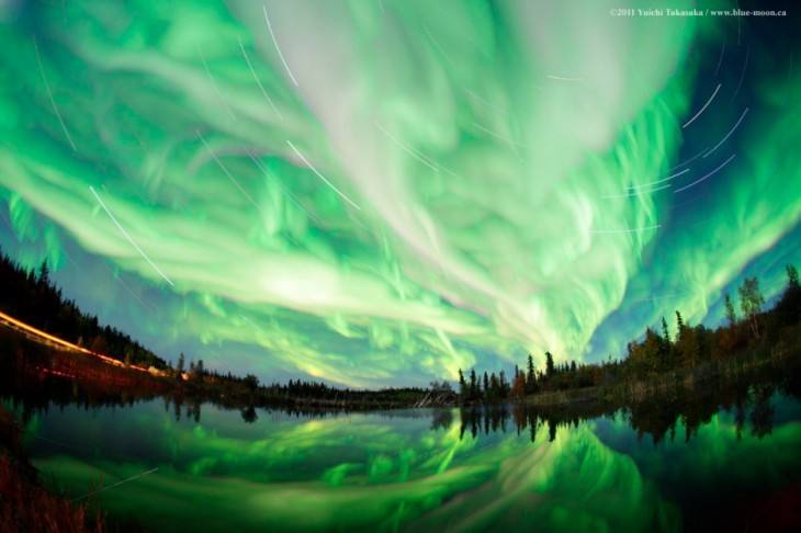 bosque canada luces