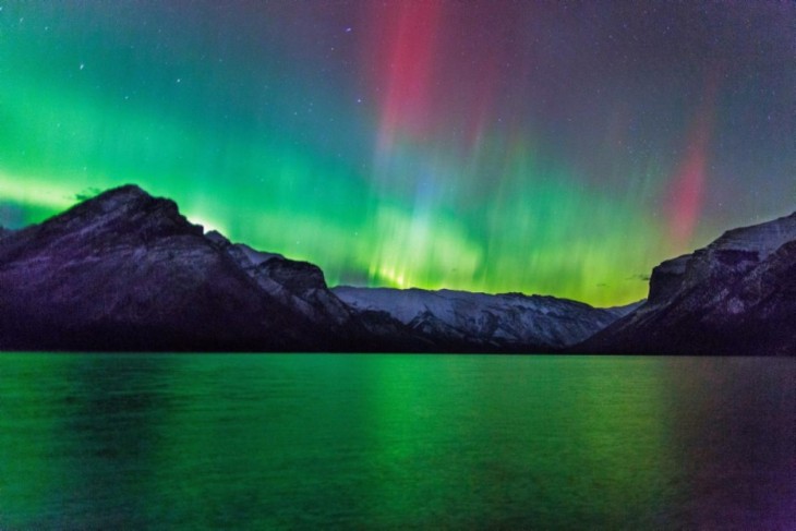 bosque en canada de noche