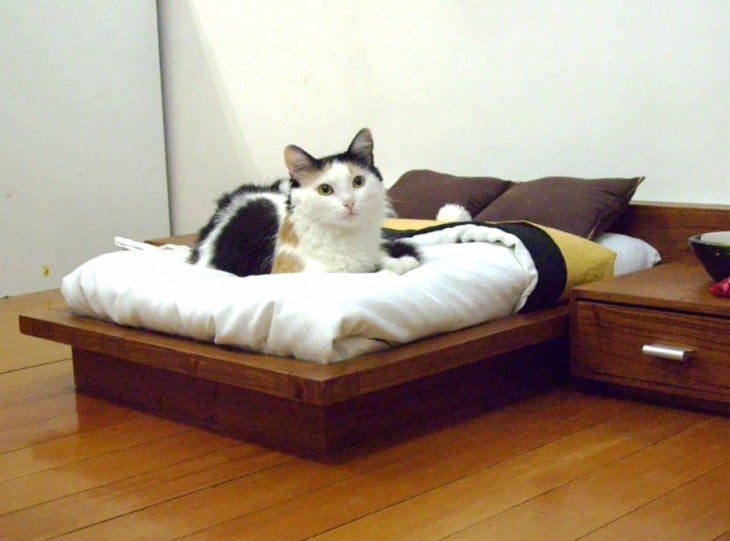 CAMA PARA GATOS