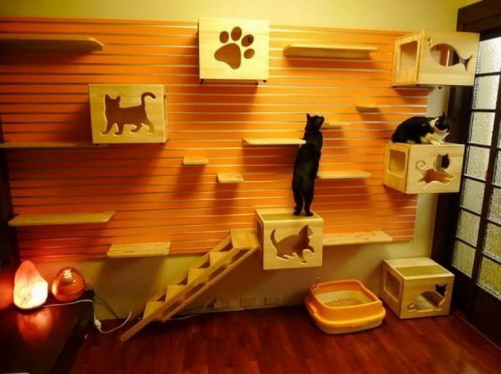 CASAS CON DETALLES PARA GATOS