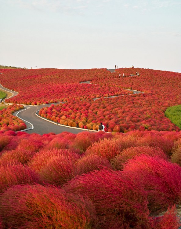 PARQUE HITACHI, CHINA