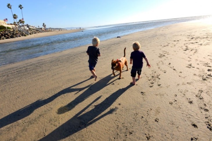 niños corriendo con perros